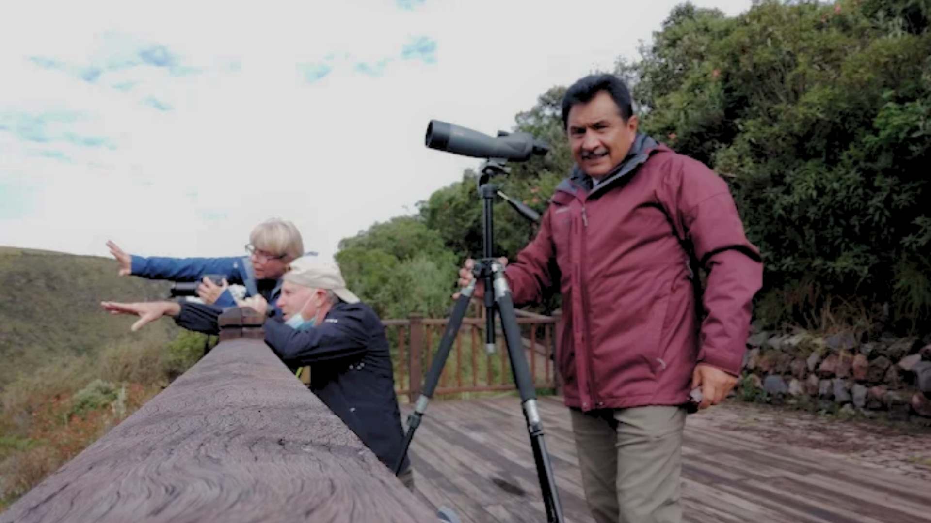 Birdwatching